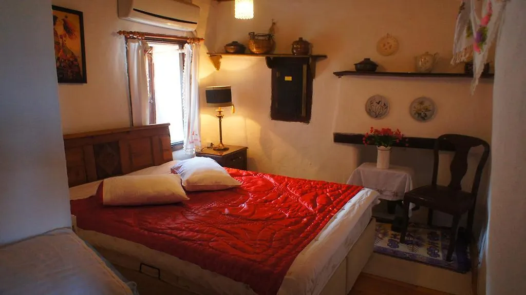 Πανσιόν Dionysos Pension Σελτσούκ Τουρκία