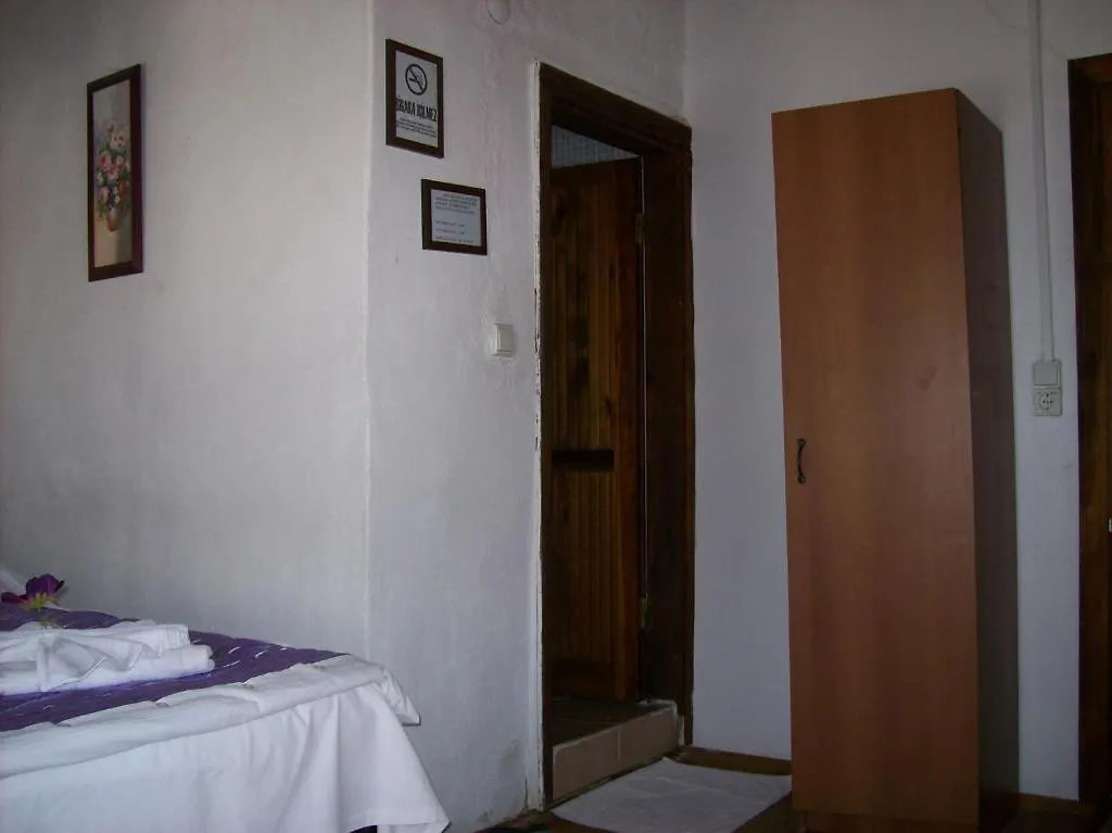 Πανσιόν Dionysos Pension Σελτσούκ