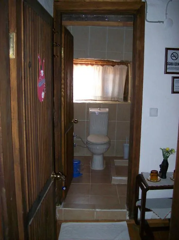 Πανσιόν Dionysos Pension Σελτσούκ