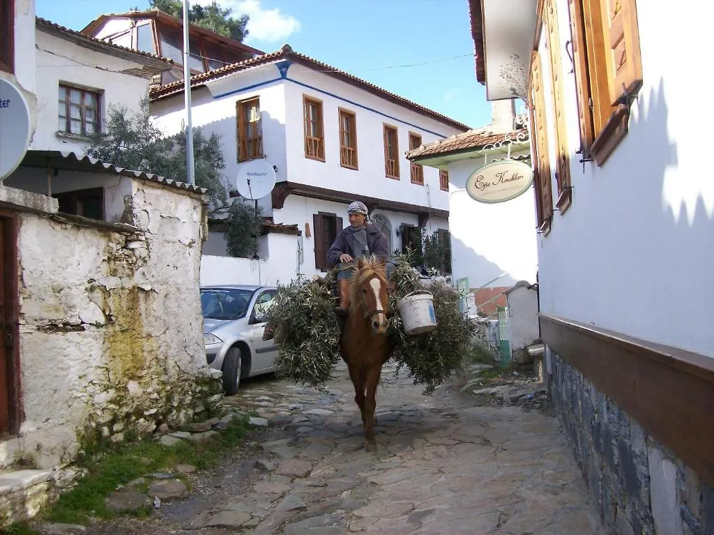 Dionysos Pension Σελτσούκ Πανσιόν
