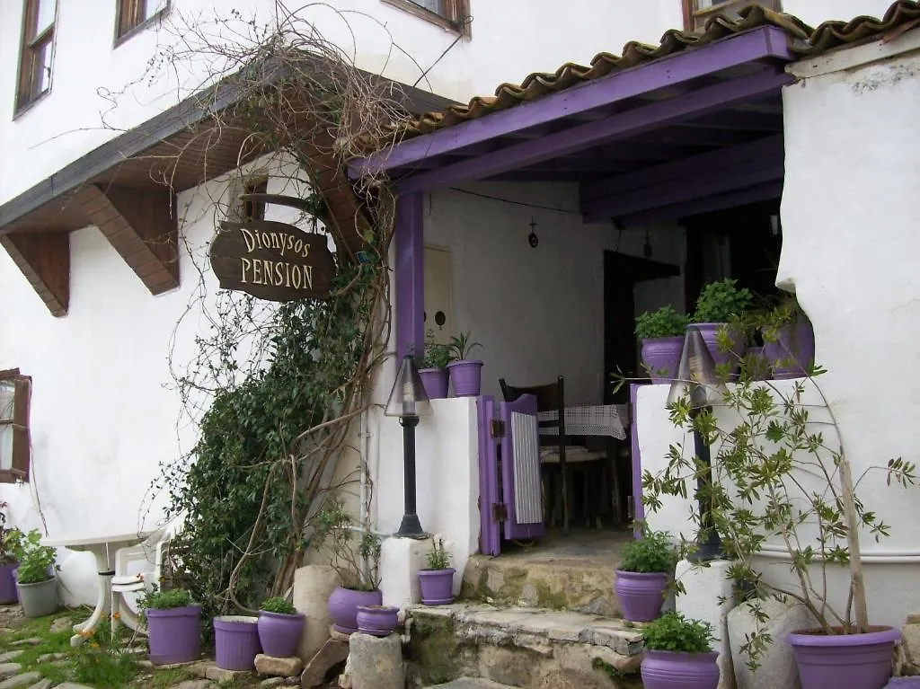 Dionysos Pension Σελτσούκ