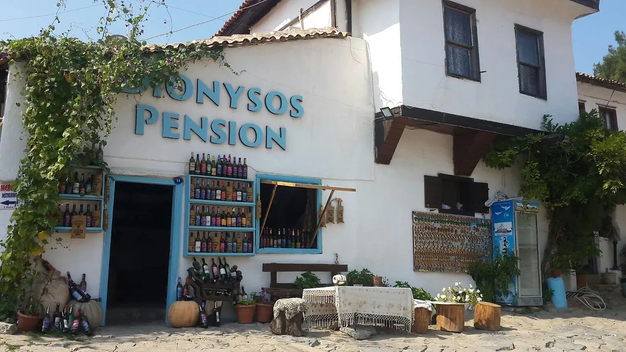 Πανσιόν Dionysos Pension Σελτσούκ
