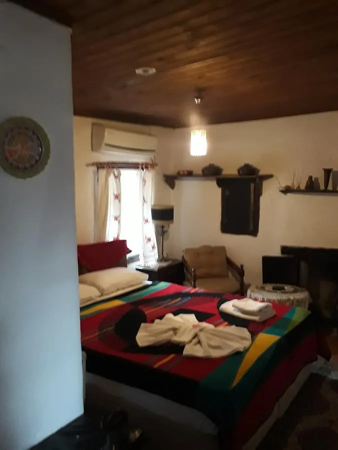 Gasthuis Dionysos Pension Selçuk