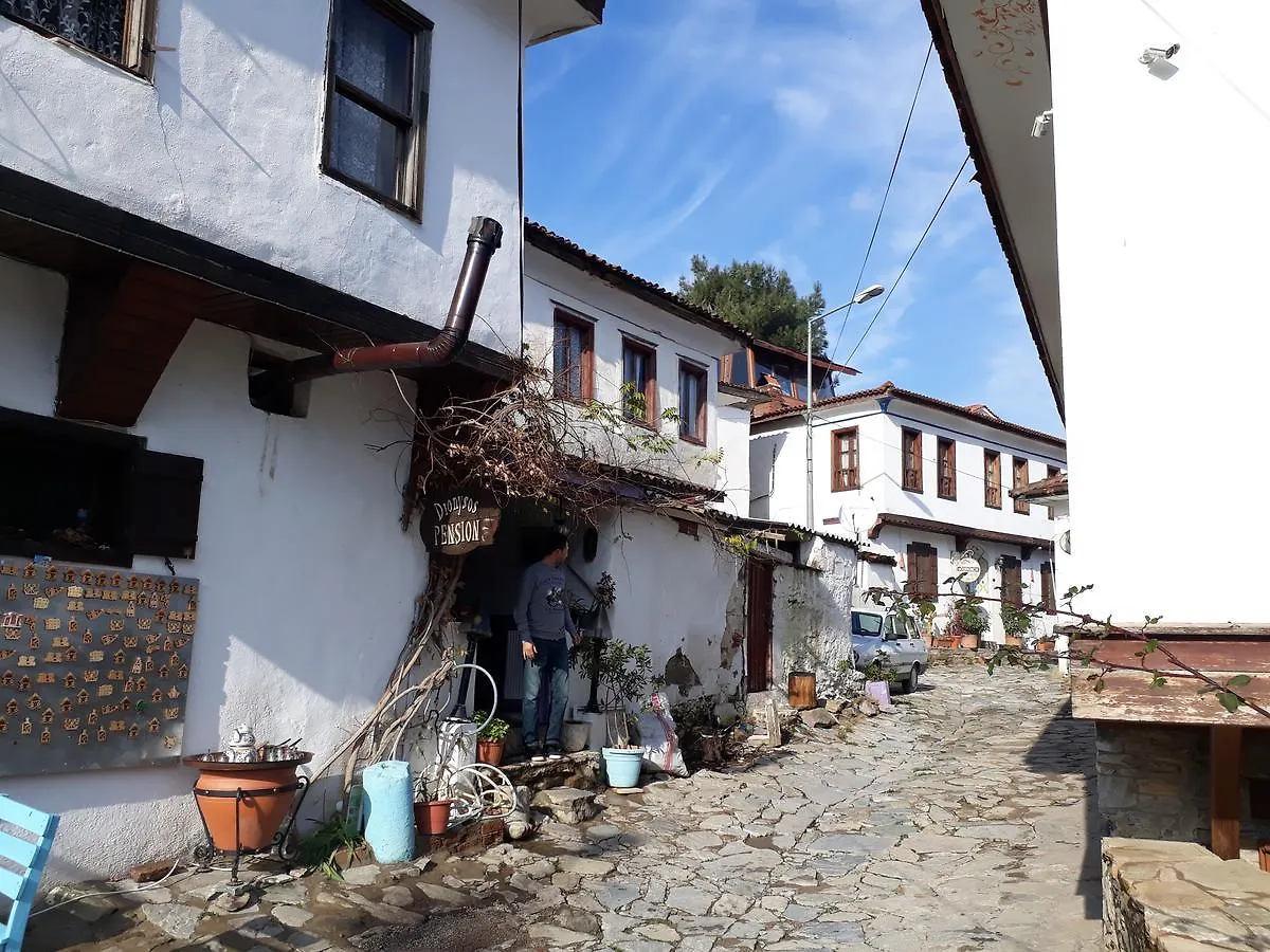 Penzion Dionysos Pension Selcuk Turecko