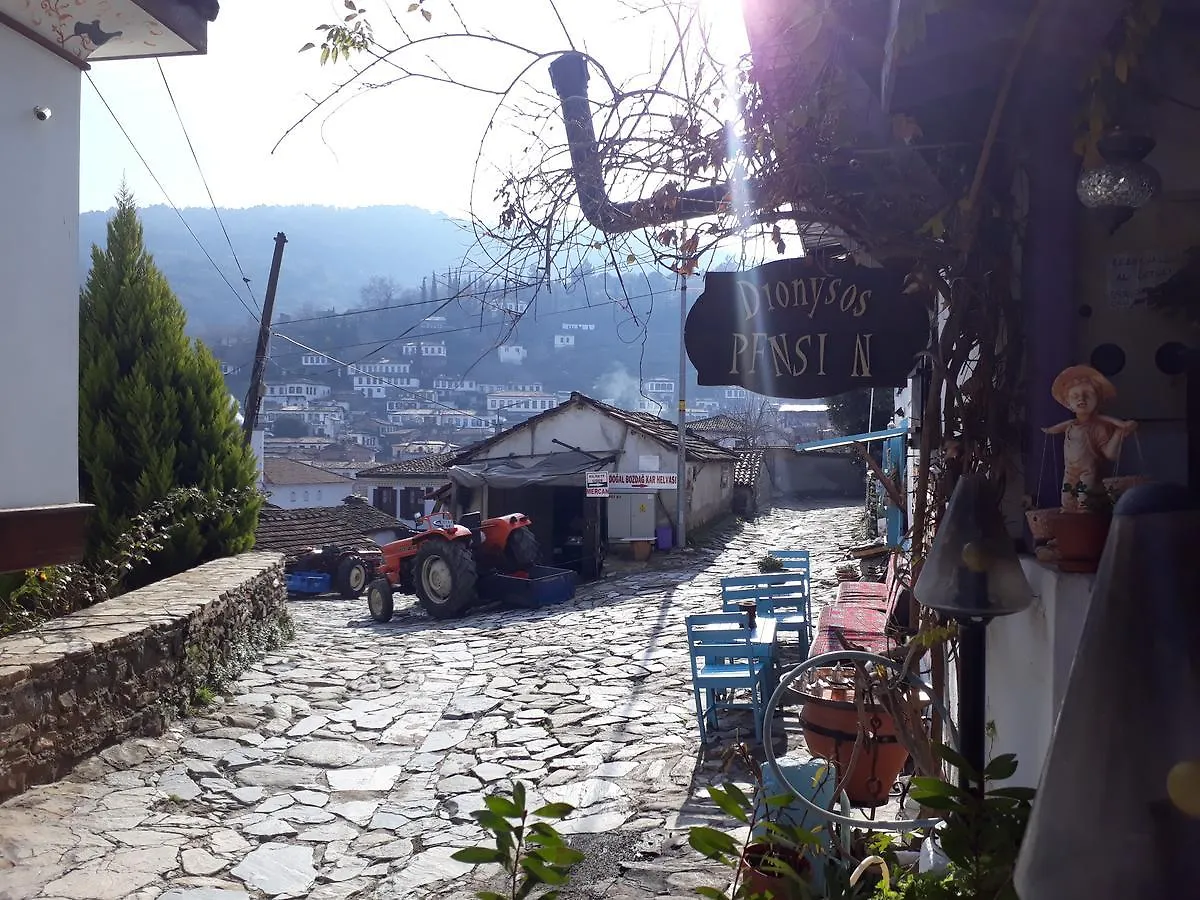 Penzion Dionysos Pension Selcuk