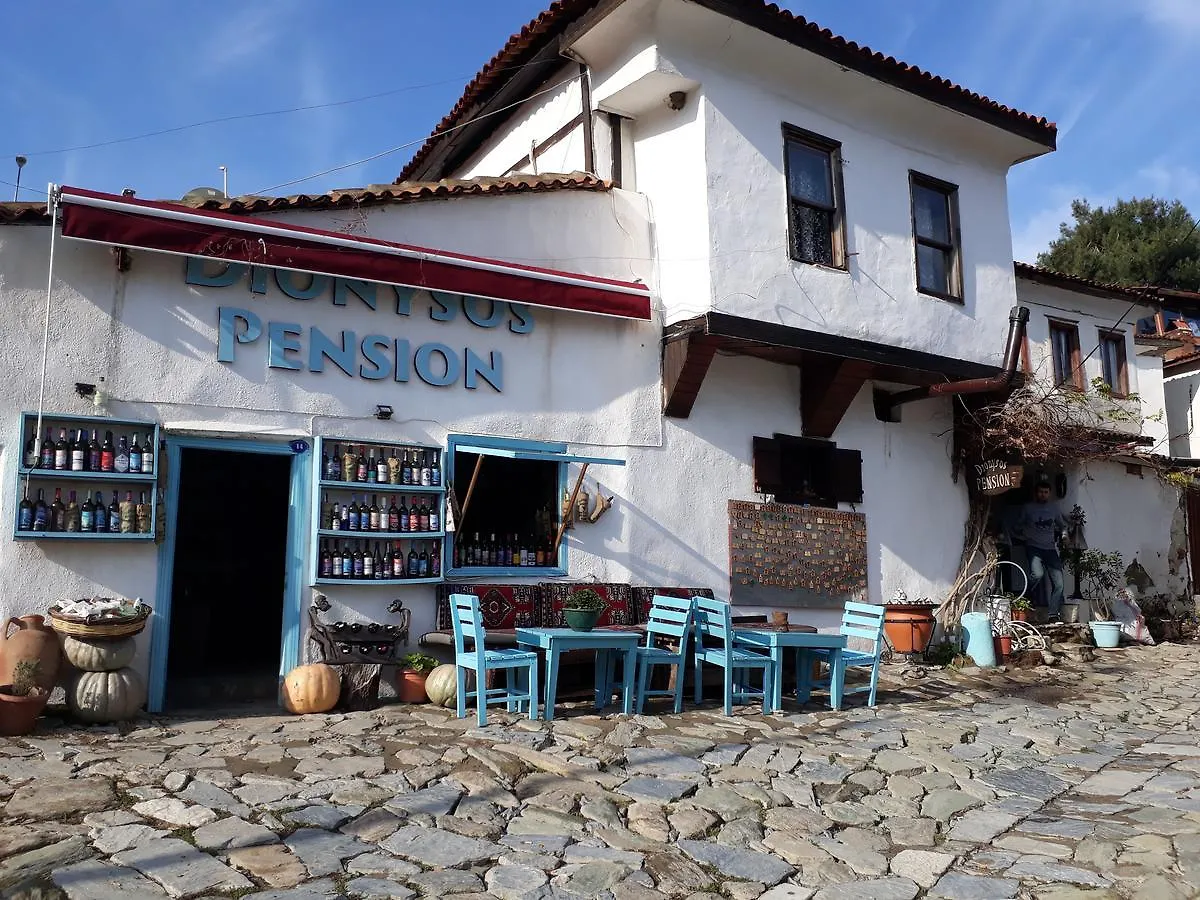 Dionysos Pension Selcuk Penzion